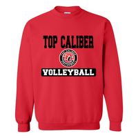 ADULT Gildan Crewneck Sweatshirt