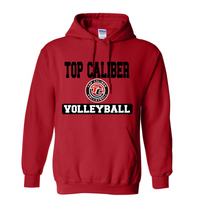 ADULT Gildan Hooded Sweatshirt
